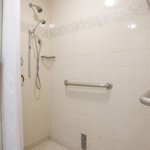 River View King Roll Shower Disability Access