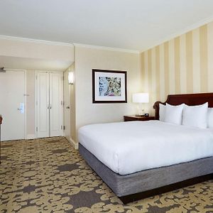 Kamer voor Auditieve Handicap met een King Size Bed